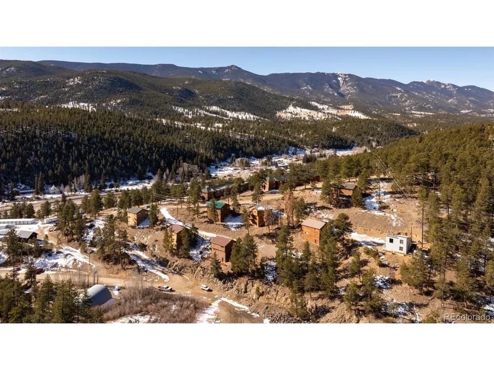 206 Virginia Road Bailey, CO 80421