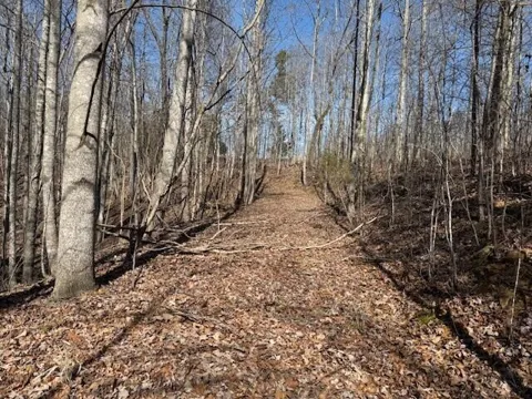 3 South Pittsburg Mountain