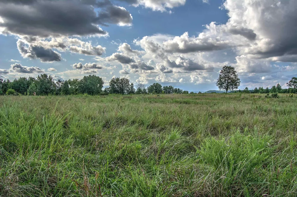 County Rd 818 Bryant, AL 35958