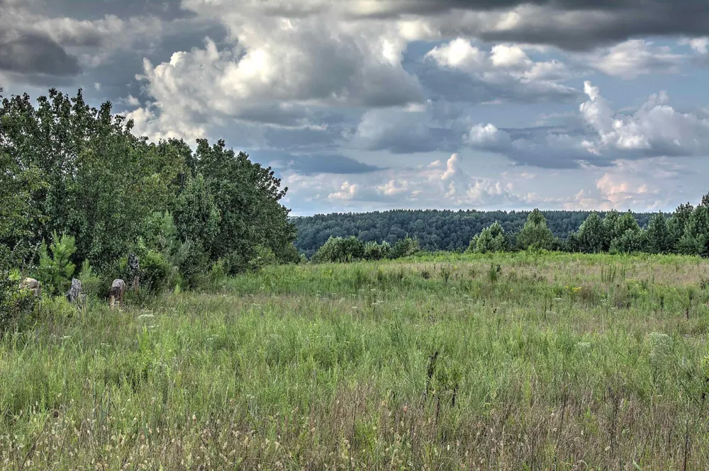 County Rd 818 Bryant, AL 35958