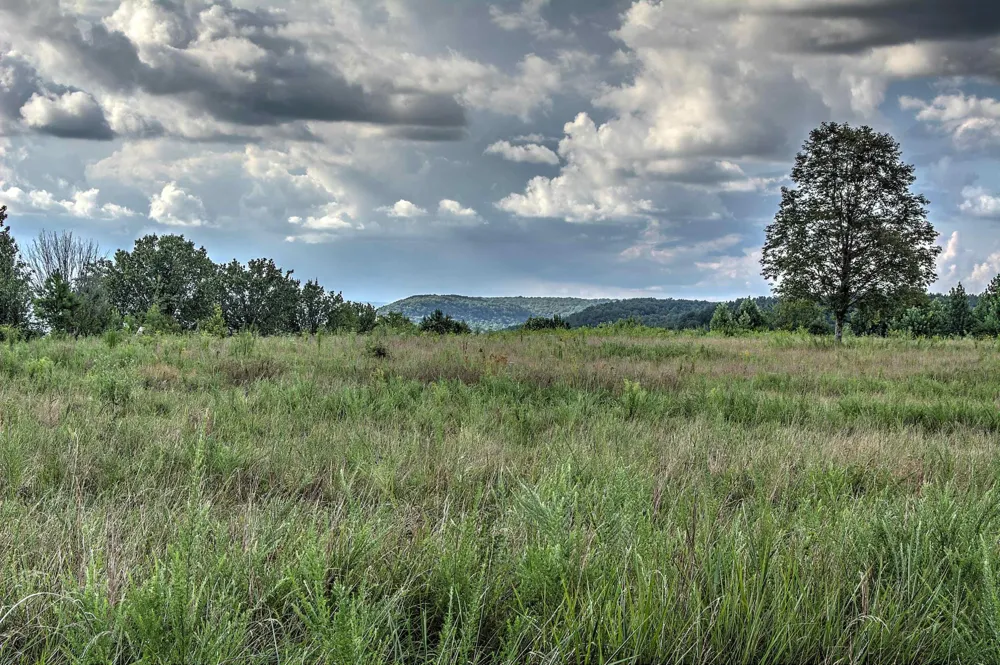 County Rd 818 Bryant, AL 35958
