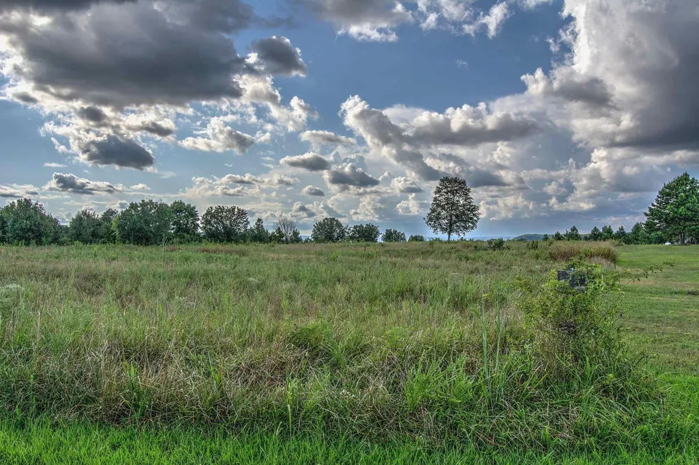 County Rd 818 Bryant, AL 35958