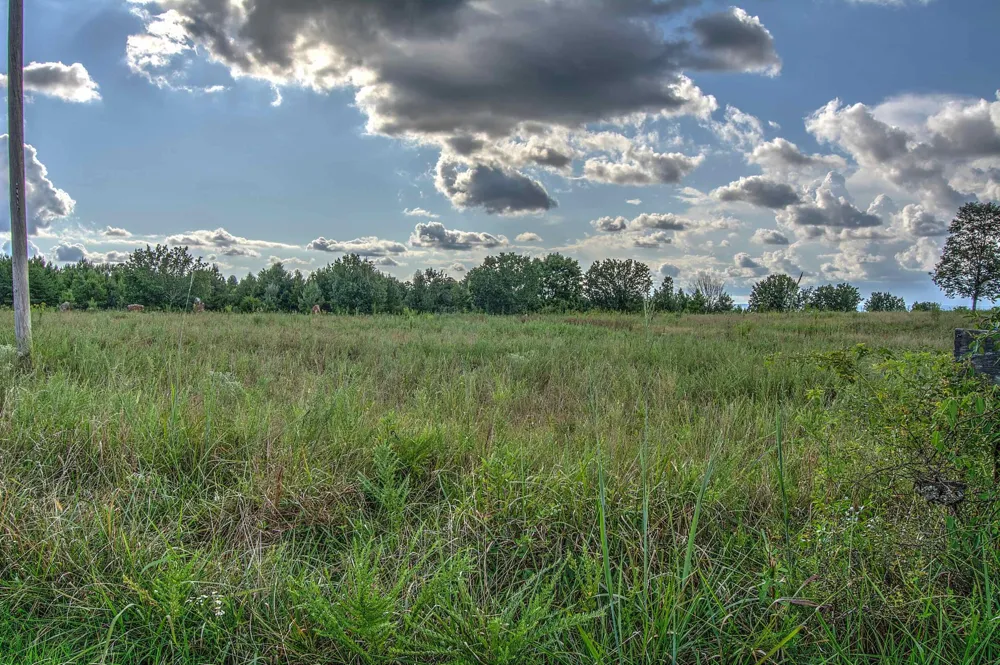 County Rd 818 Bryant, AL 35958