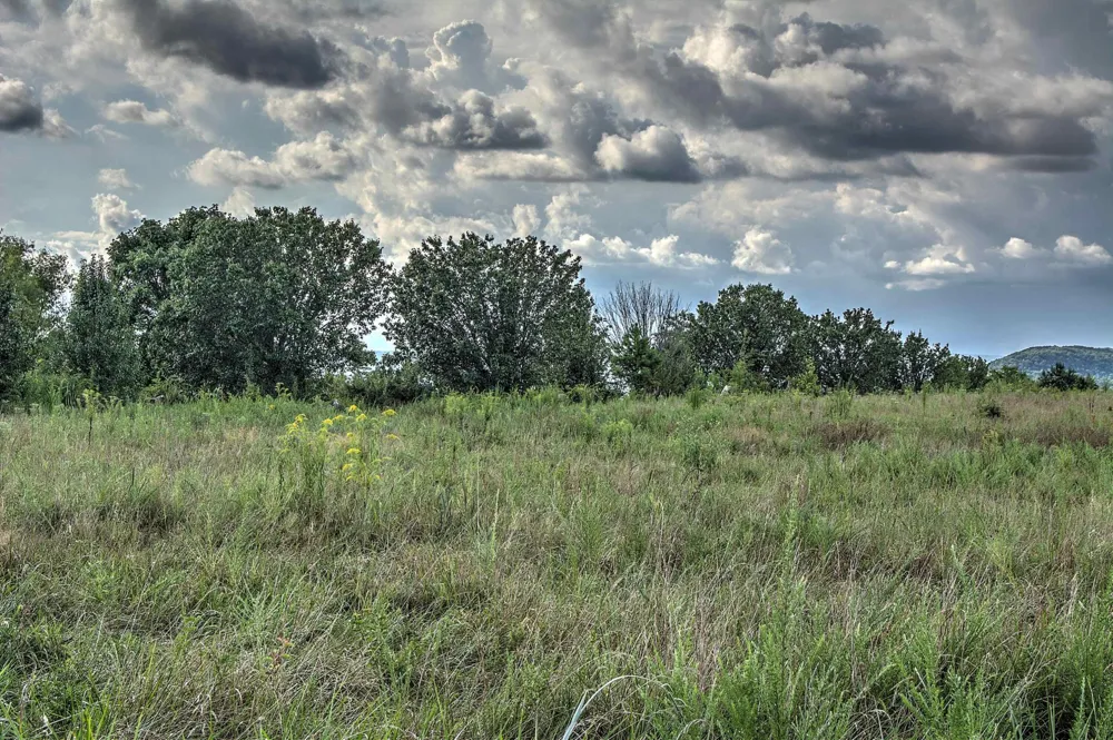 County Rd 818 Bryant, AL 35958