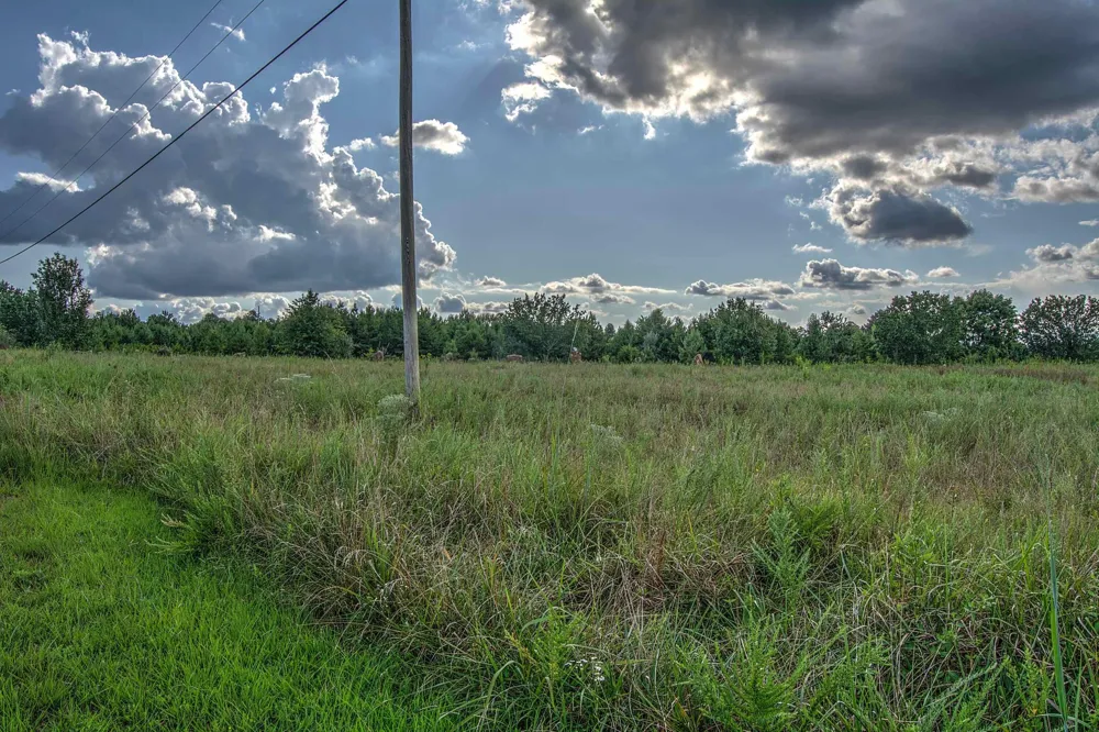 County Rd 818 Bryant, AL 35958