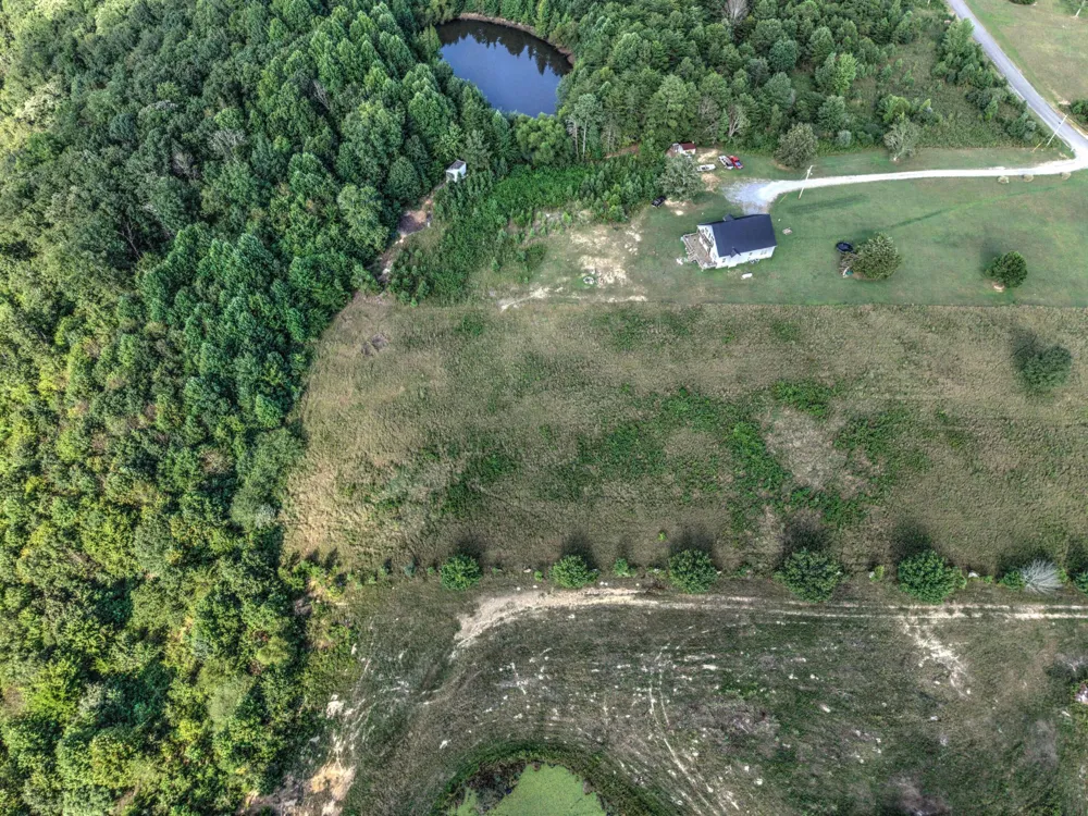 County Rd 818 Bryant, AL 35958