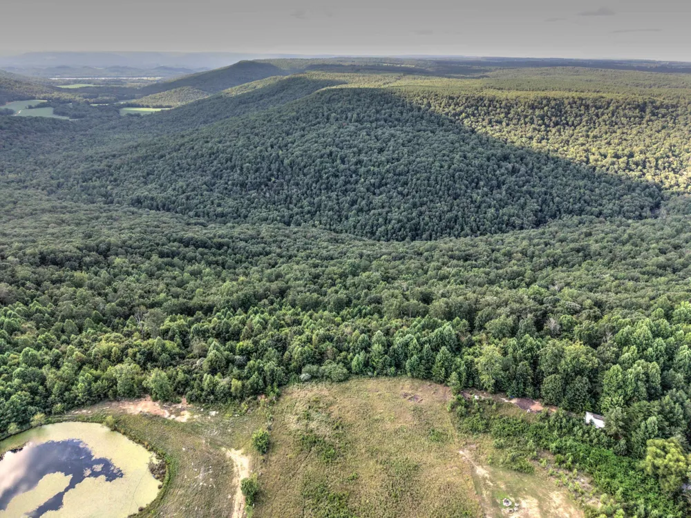 County Rd 818 Bryant, AL 35958