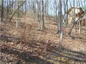 147 Eagle Creek Trail Rising Fawn, GA 30738