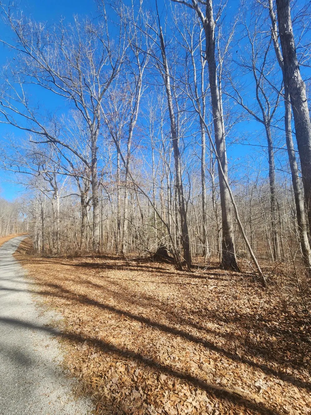 18 Devon Loop Crossville, TN 38558