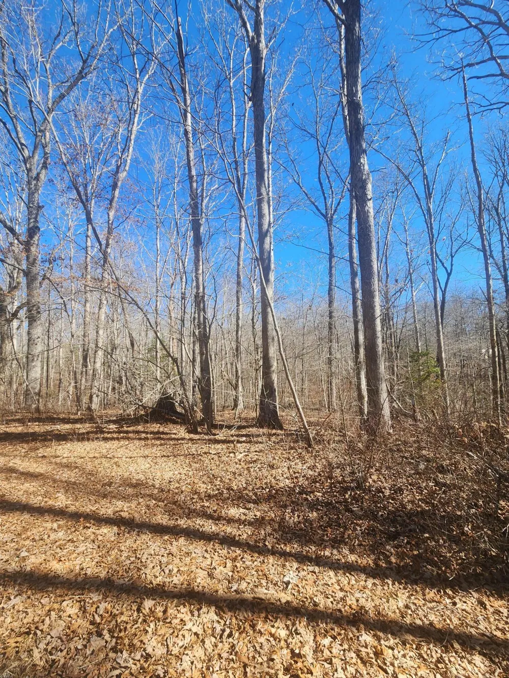 18 Devon Loop Crossville, TN 38558