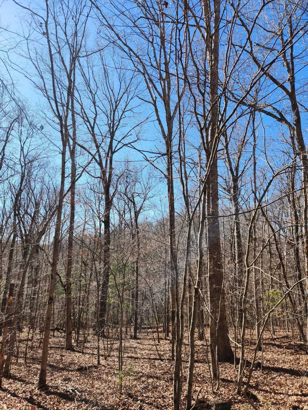 20 Devon Loop Crossville, TN 38558