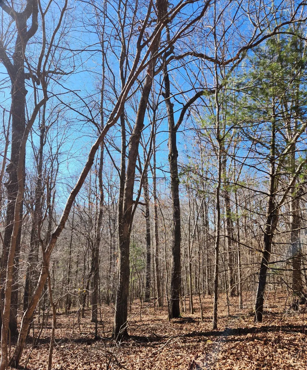 20 Devon Loop Crossville, TN 38558