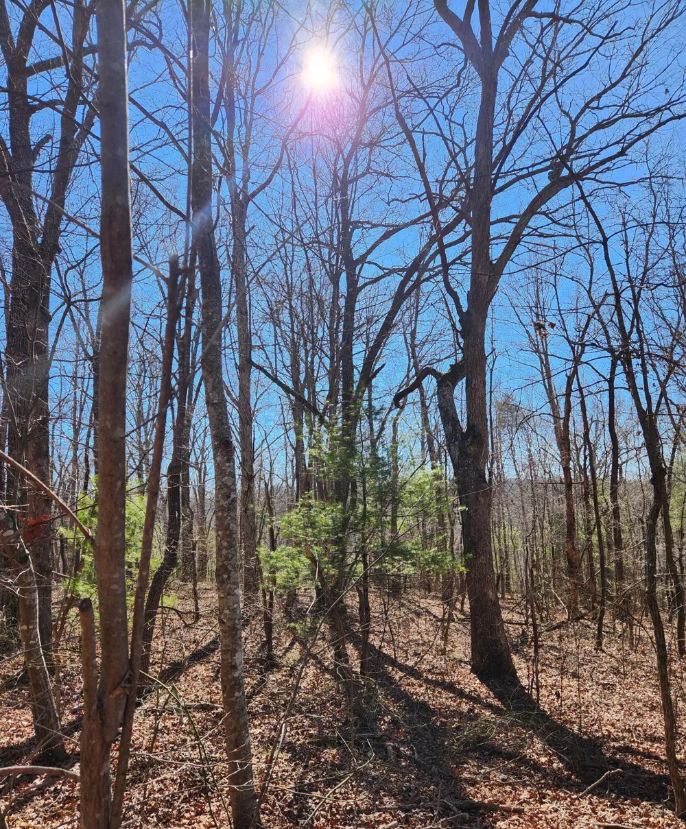 20 Devon Loop Crossville, TN 38558