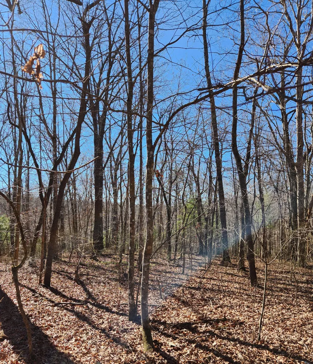 20 Devon Loop Crossville, TN 38558