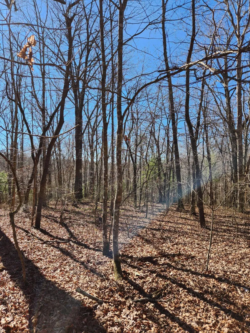 22 Devon Loop Crossville, TN 38558