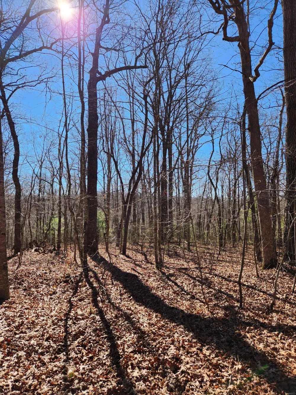 22 Devon Loop Crossville, TN 38558