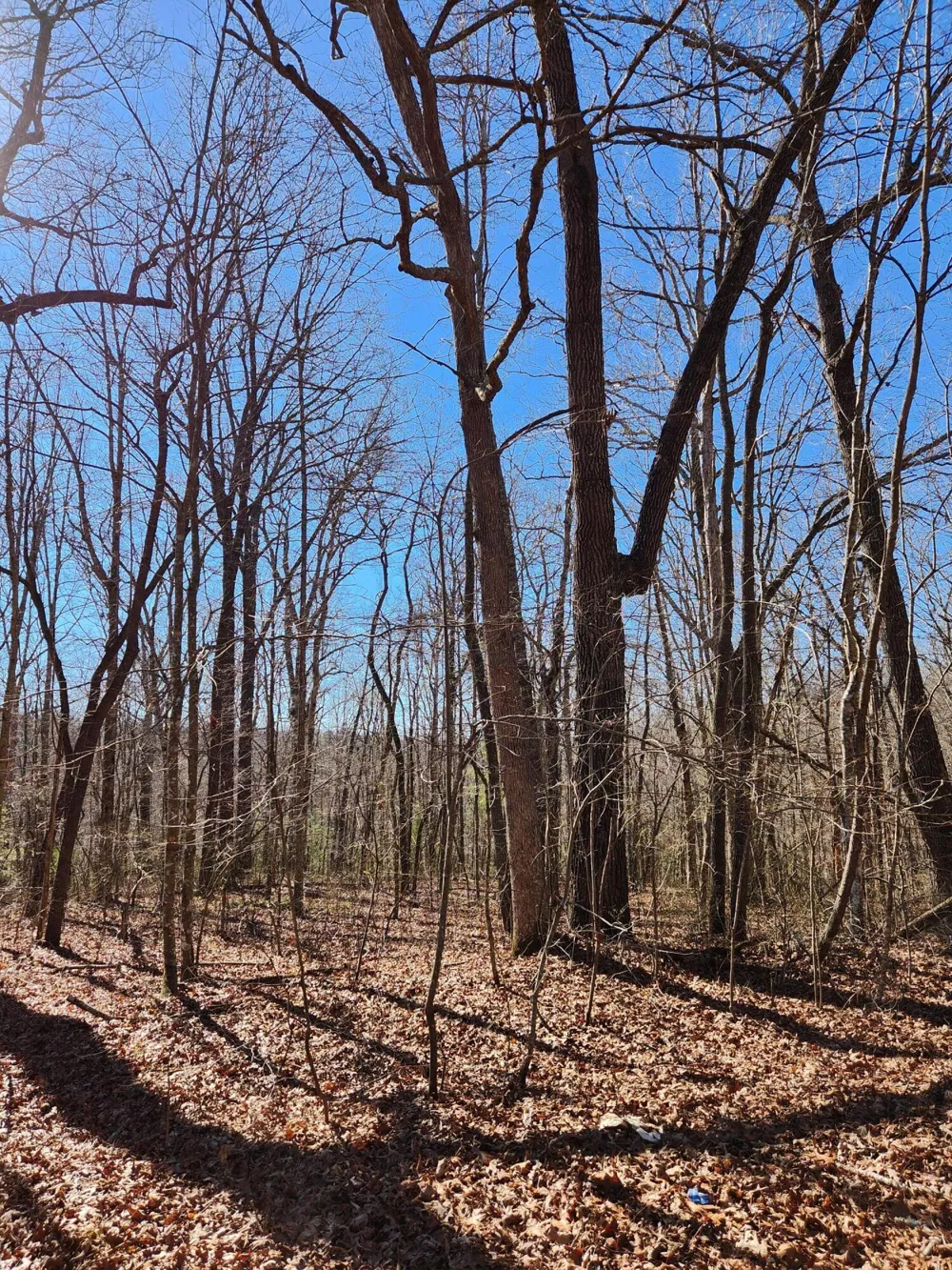 22 Devon Loop Crossville, TN 38558