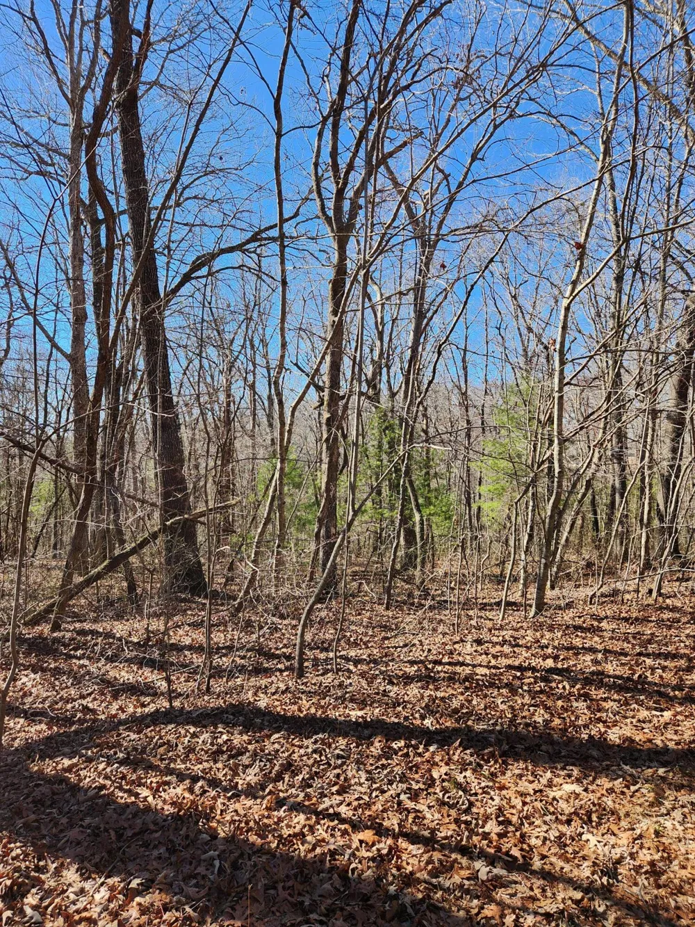 22 Devon Loop Crossville, TN 38558