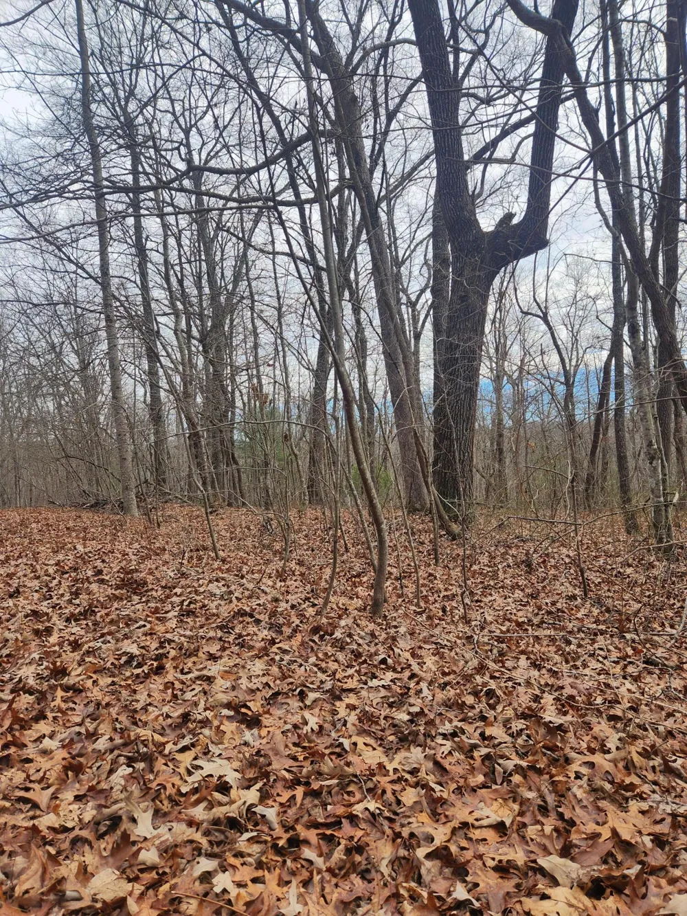 22 Devon Loop Crossville, TN 38558