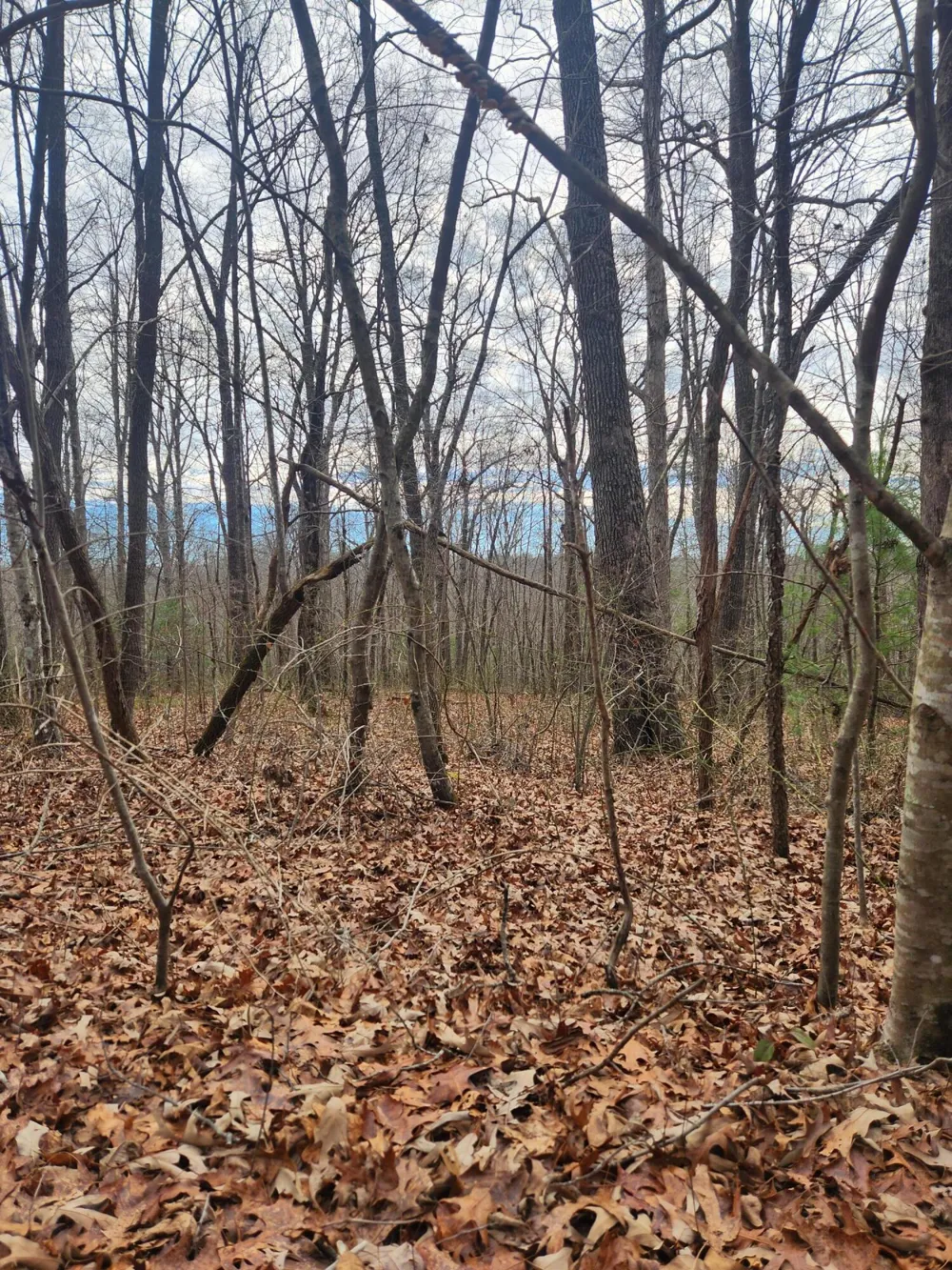 22 Devon Loop Crossville, TN 38558