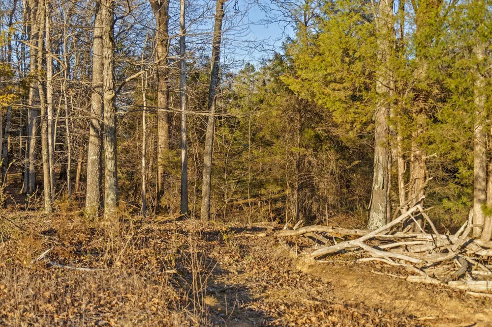 W Cove Road Chickamauga, GA 30707