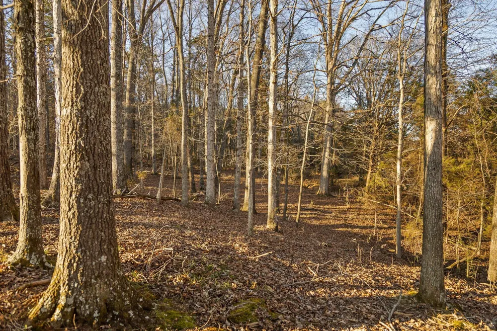 W Cove Road Chickamauga, GA 30707