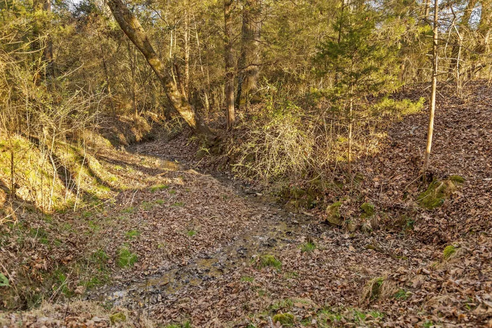 W Cove Road Chickamauga, GA 30707