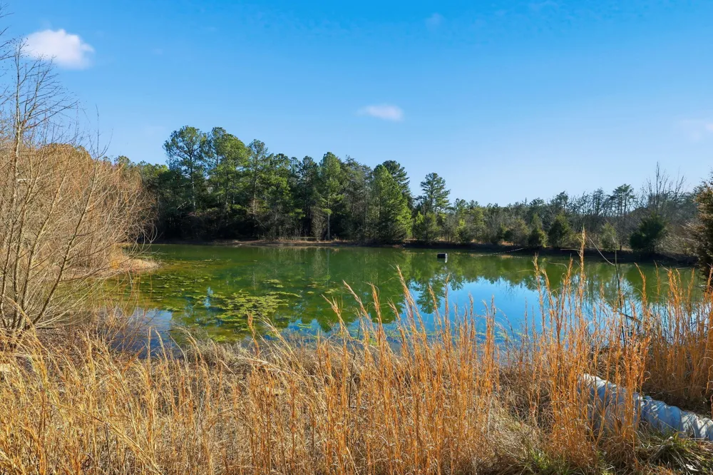 15590 Alabama Highway Rock Spring, GA 30739