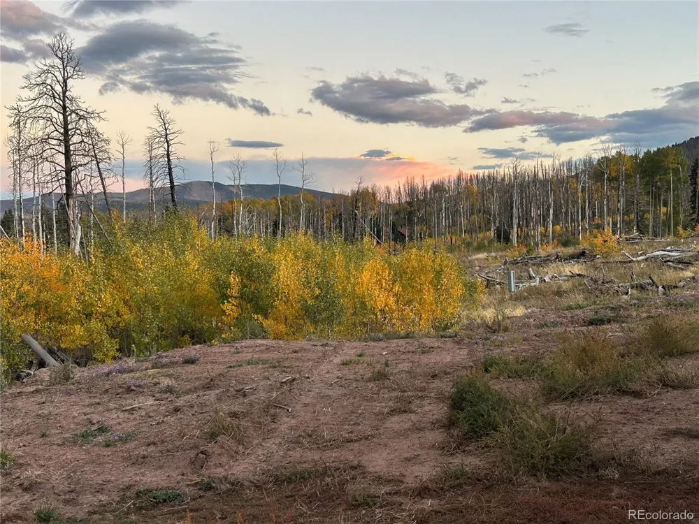1944 Strauss Drive Fort Garland, CO 81133