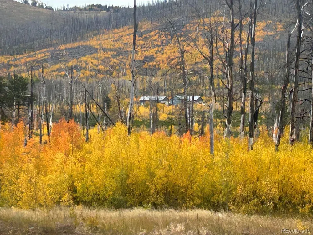 1944 Strauss Drive Fort Garland, CO 81133
