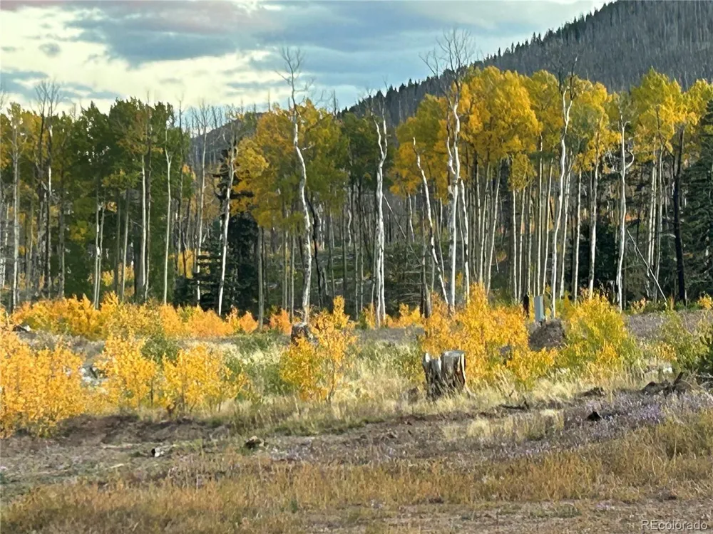 1944 Strauss Drive Fort Garland, CO 81133