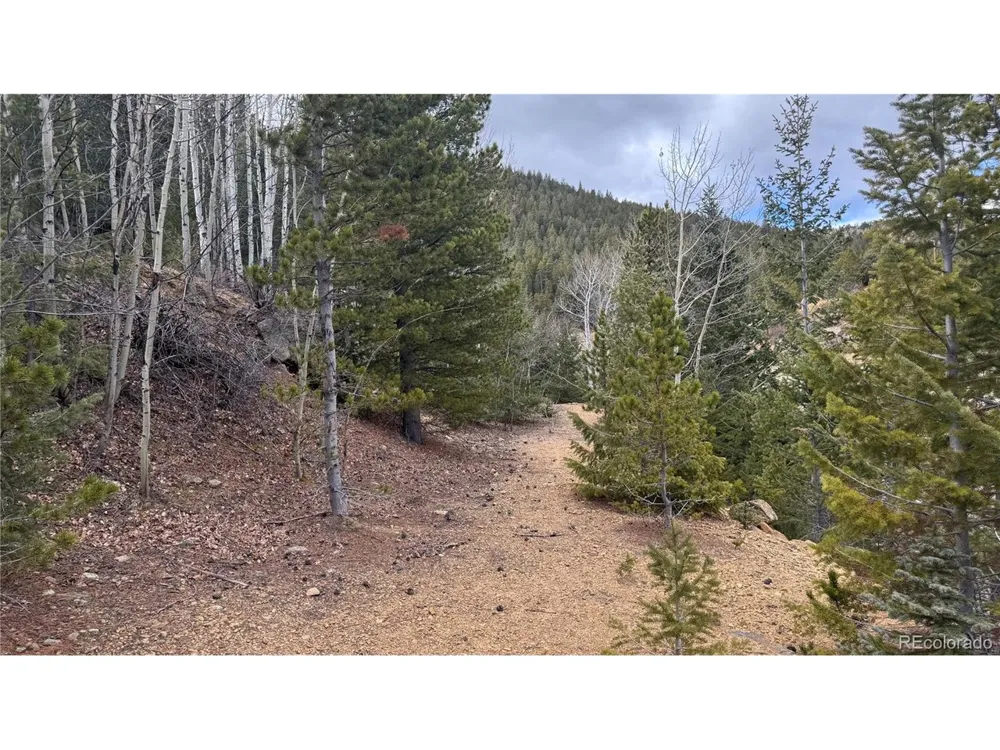 1 Hooper Street Central City, CO 80427