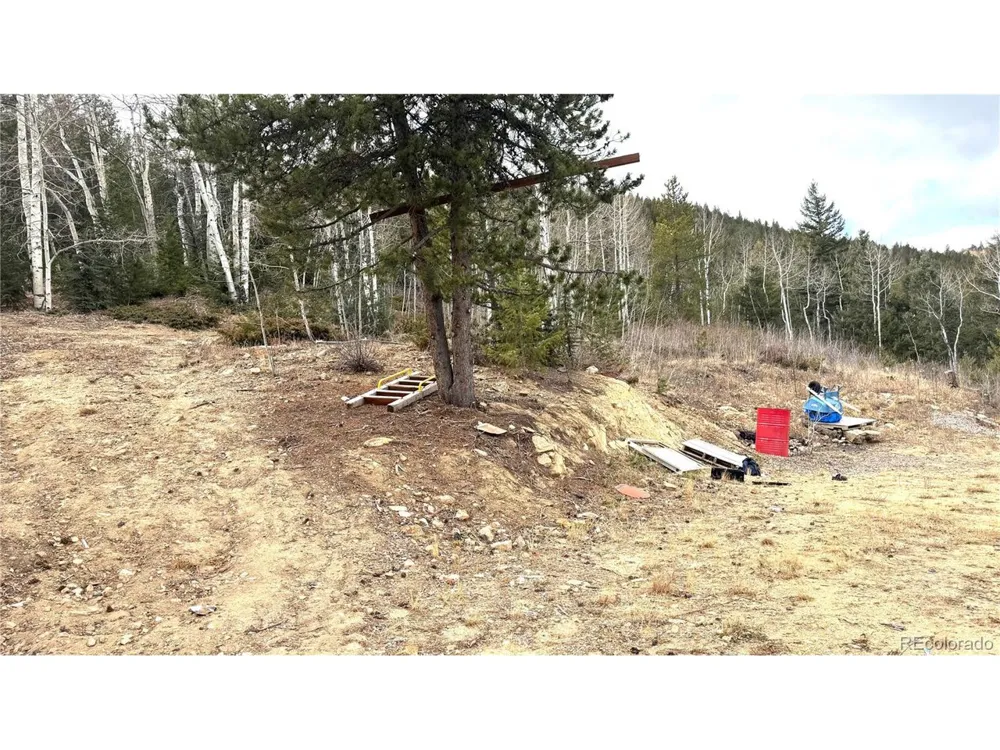 1 Hooper Street Central City, CO 80427