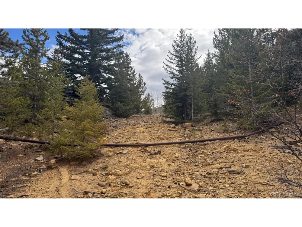 1 Hooper Street Central City, CO 80427