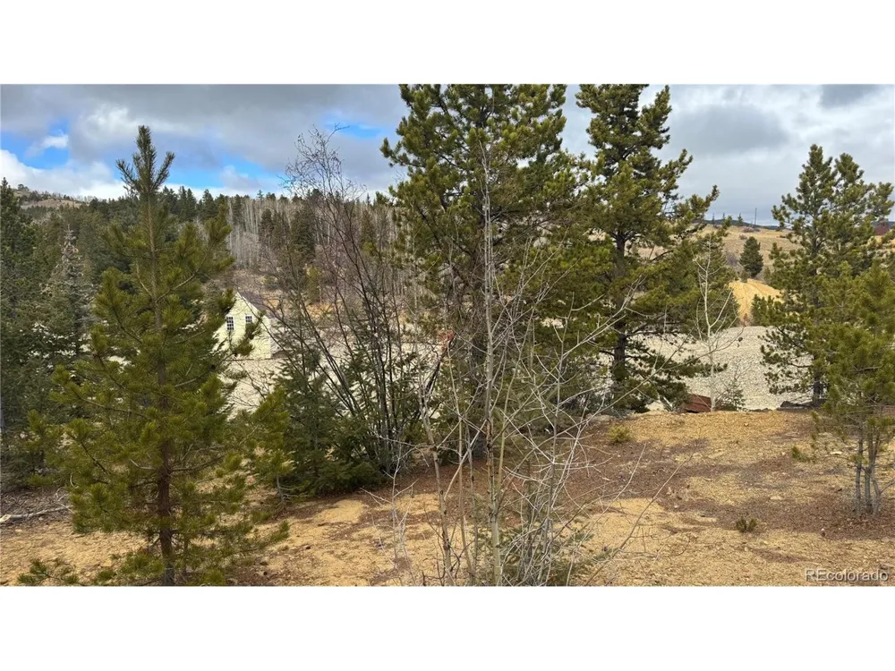 1 Hooper Street Central City, CO 80427