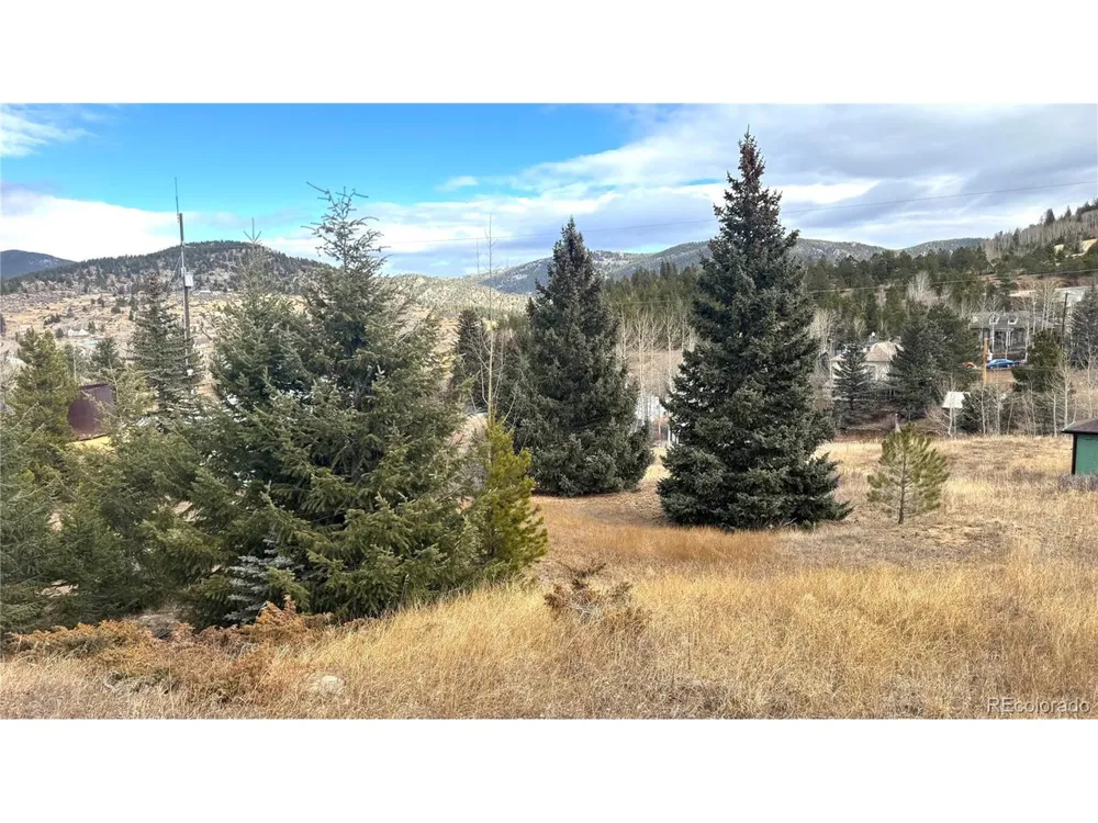 1 Hooper Street Central City, CO 80427