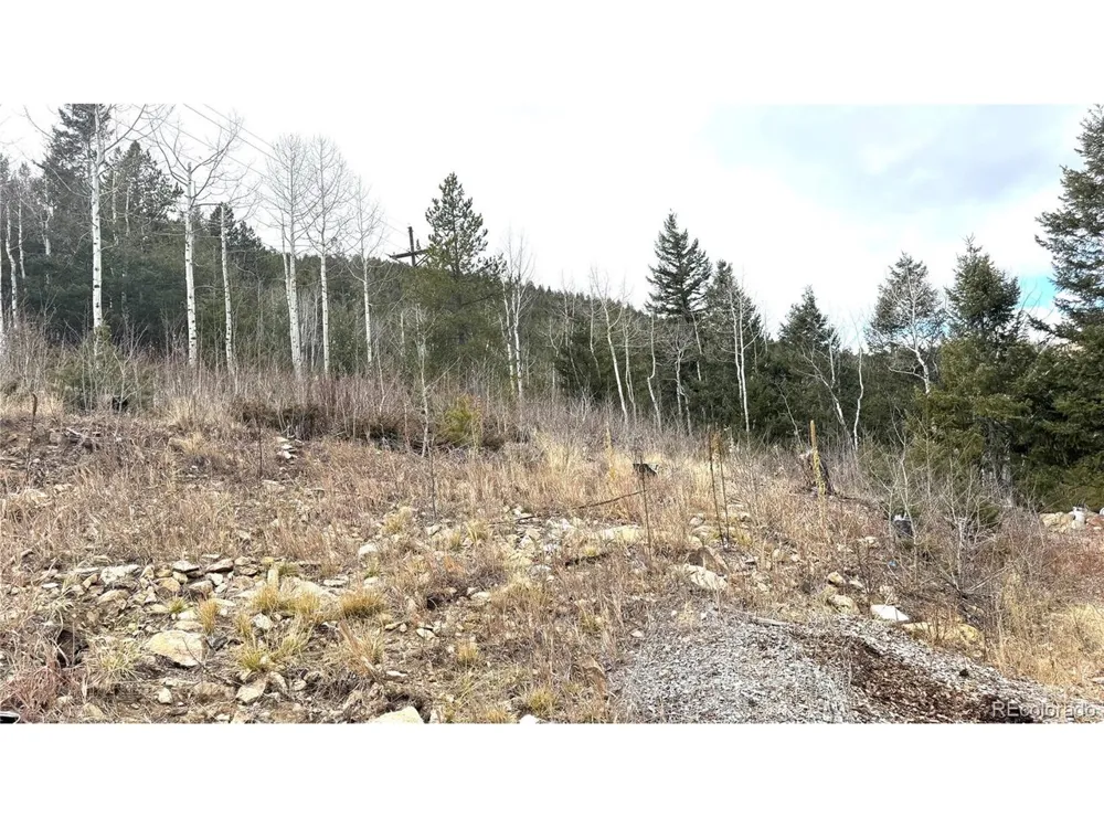 1 Hooper Street Central City, CO 80427