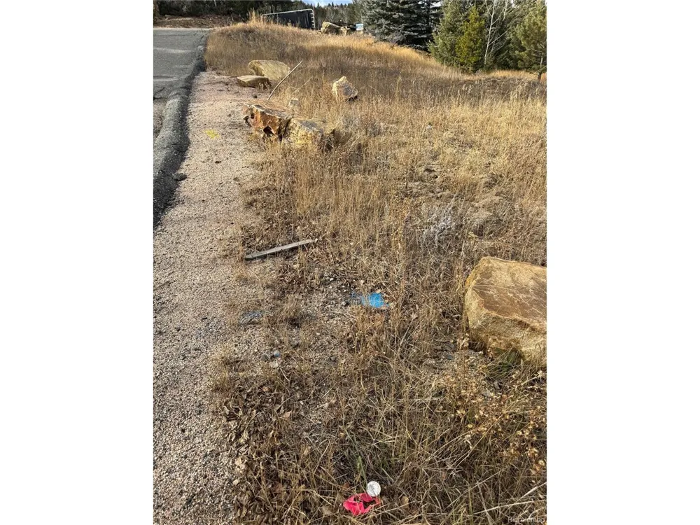 1 Hooper Street Central City, CO 80427