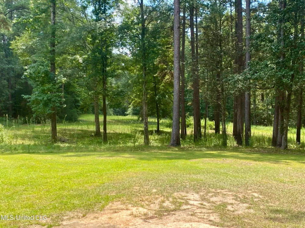 1024 Sabrina Drive Summit, MS 39666