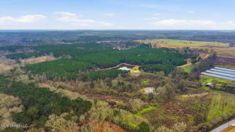 4603 Mississippi 28 Mize, MS 39116