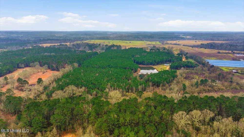4603 Mississippi 28 Mize, MS 39116