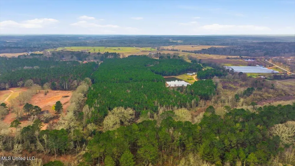 4603 Mississippi 28 Mize, MS 39116
