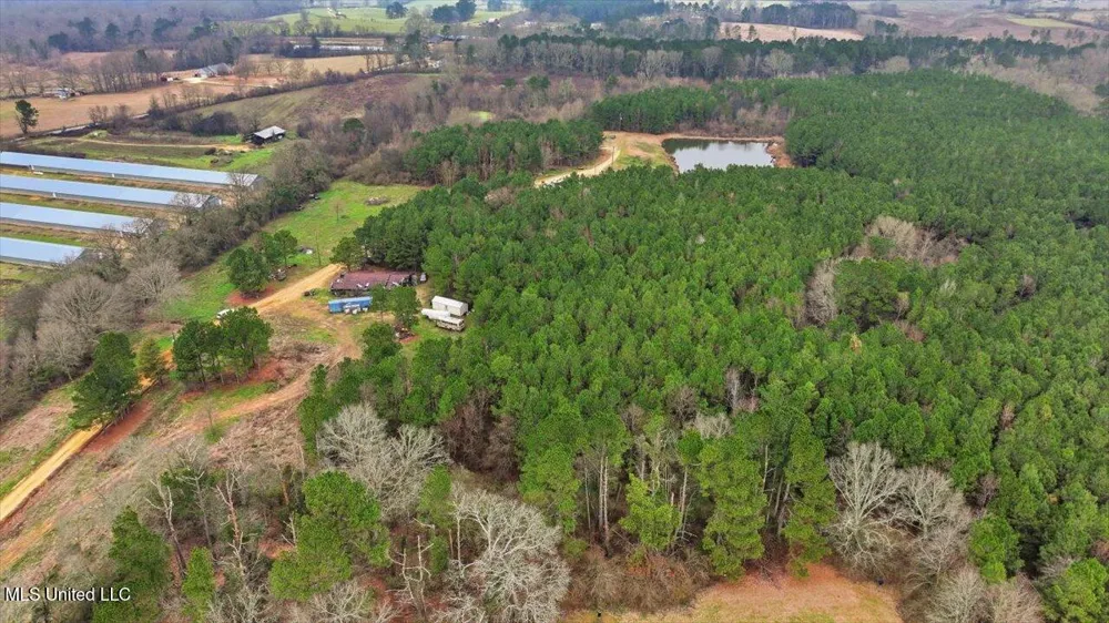 4603 Mississippi 28 Mize, MS 39116