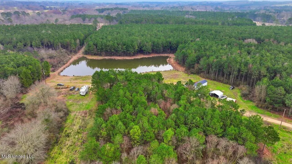 4603 Mississippi 28 Mize, MS 39116