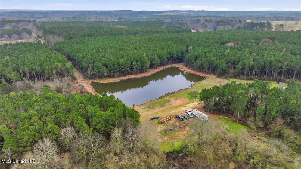 4603 Mississippi 28 Mize, MS 39116