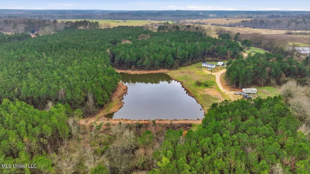 4603 Mississippi 28 Mize, MS 39116