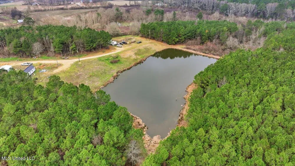 4603 Mississippi 28 Mize, MS 39116