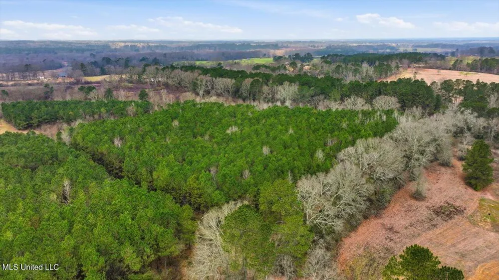 4603 Mississippi 28 Mize, MS 39116