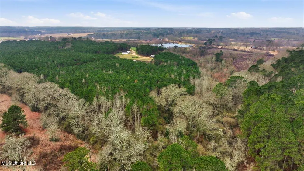 4603 Mississippi 28 Mize, MS 39116