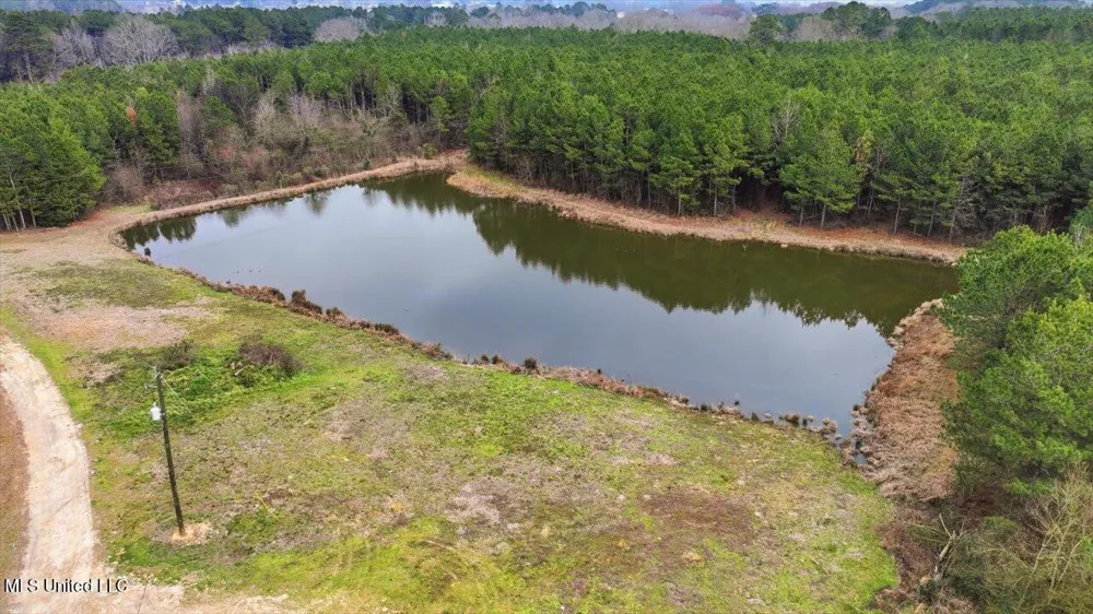 4603 Mississippi 28 Mize, MS 39116